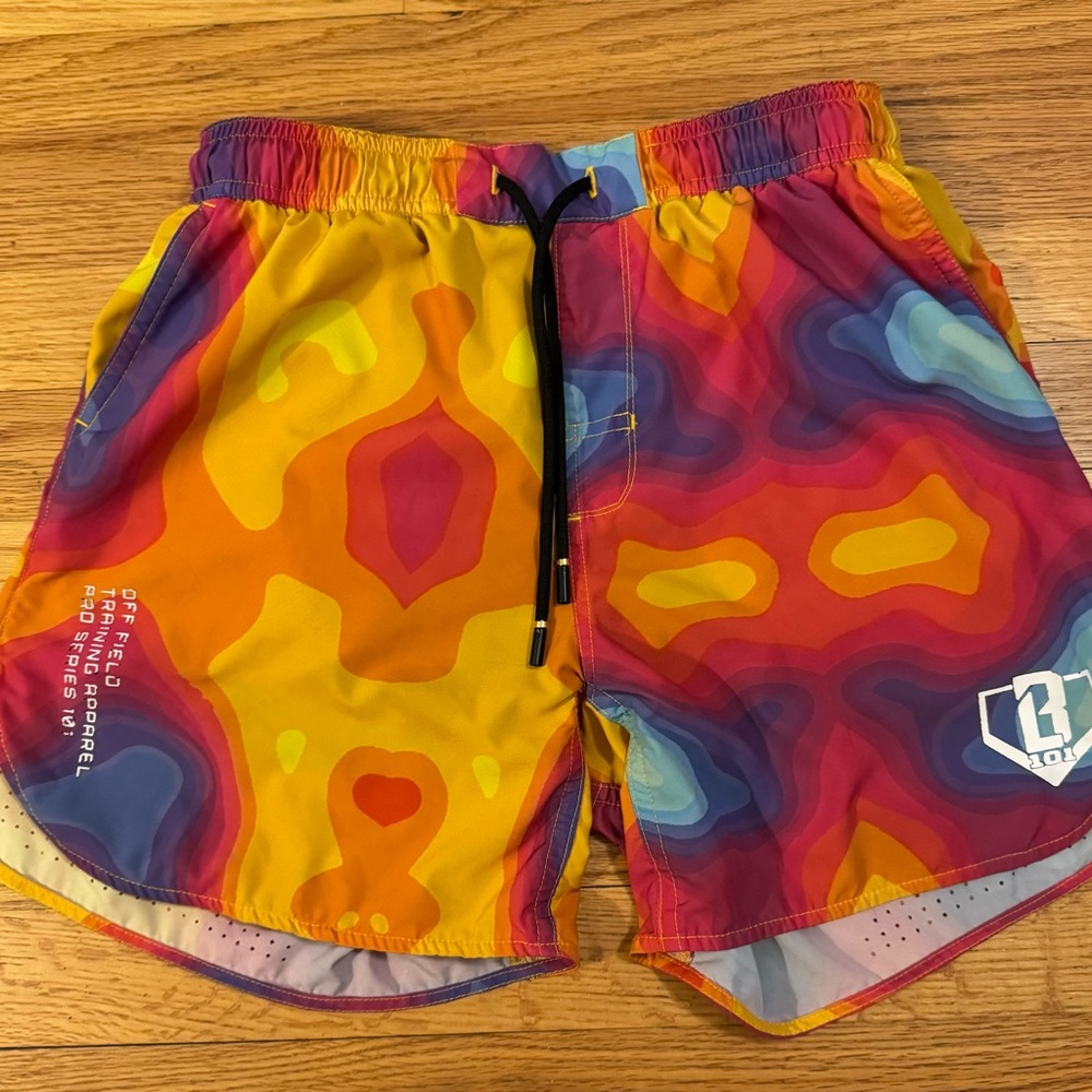 Baseball Lifestyle 101 shorts